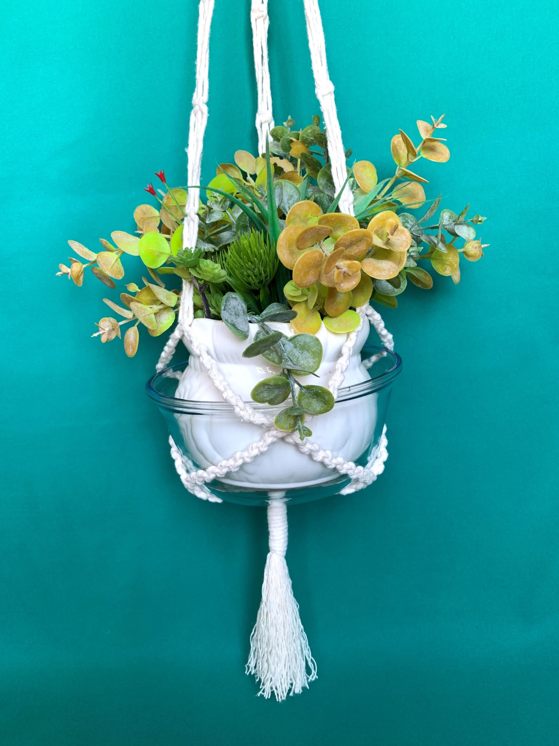 SUPORT PLANT WAVE - SITE 3 - 24.09.24 - 20240916_170149964_iOS