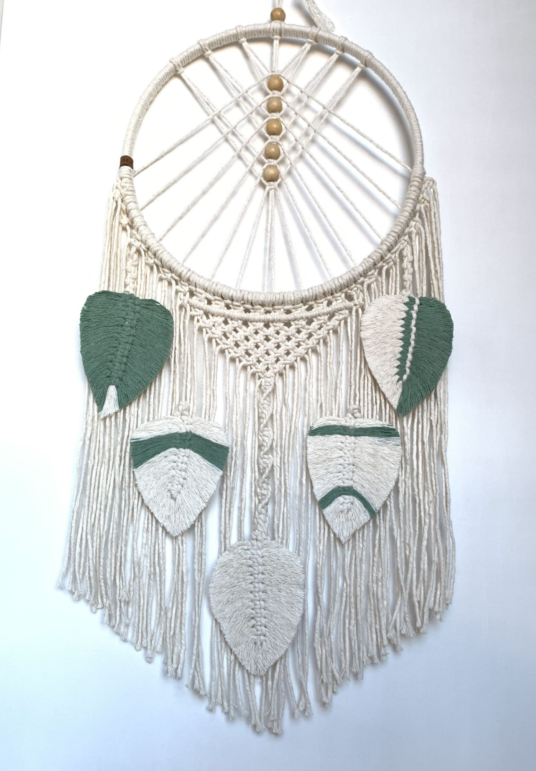 STAR FOLHAS - site 2 - 18.10.24 - 20241009_185158032_iOS